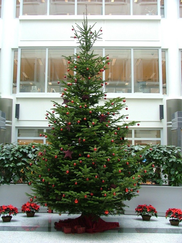 Décoration thématique de sapin de Noël dans cadre spécialisé